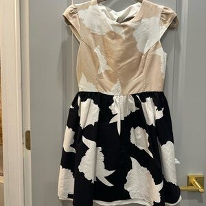 Anthropologie Dress in Black and Cream